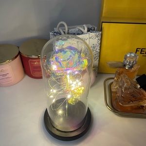 Walt Disney Enchanted Rose